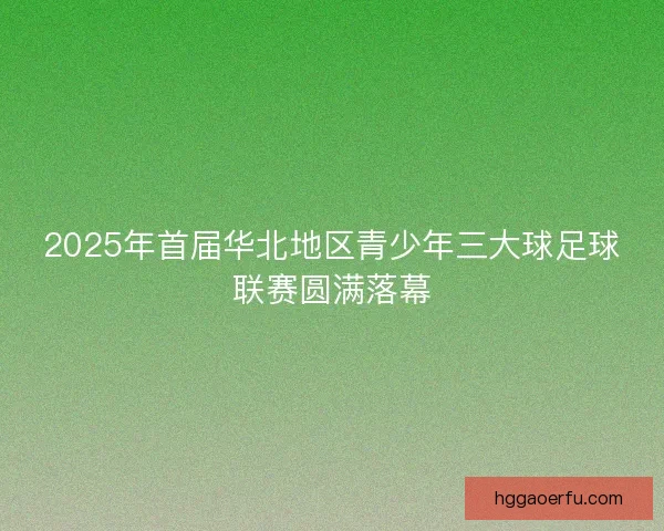 2025年首届华北地区青少年三大球足球联赛圆满落幕